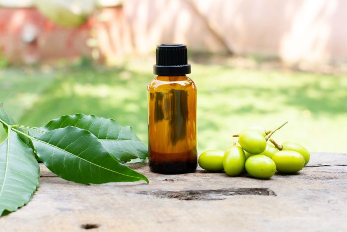 what-is-neem-oil