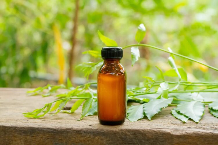 Benefits of Using Neem Oil in Pest Control